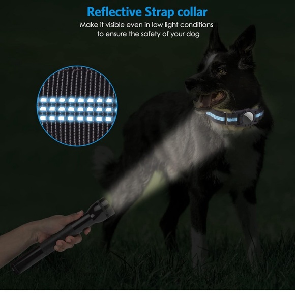 Airtag Dog Collar - Picture 3 of 7